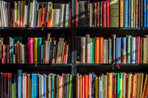 Proctoring & Training