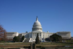 Government
